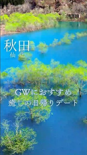 GW秋田デートプラン｜水没林の理由と玉川温泉の日帰りコース