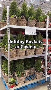 Beautiful holiday baskets are now at Costco Beth’s are so beautiful the are fresh greenery too and aromatic! Great for table top or decor!! Even as a hostess gift. 🎁 #costco #costconewdeals #costconew #costcodeals #costcomusthaves #costconewproducts #Christmas | Costconewdeals