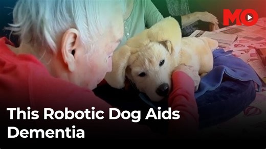 6.6K views · 37 reactions | US robotics company Tombot has introduced Jennie, a battery-powered robotic pet with AI capabilities, designed to offer companionship and comfort to individuals facing cognitive health challenges. Watch to know all about this robotic dog. #Tombot #JennieTheRoboticDog #RoboticCompanion #AIInnovation #CognitiveHealth #TechnologyForGood #USRobotics #AssistiveTechnology # | India Today | Facebook