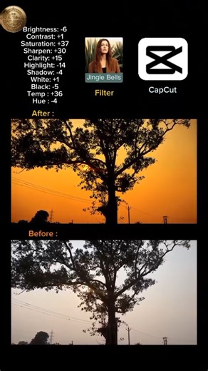 Cinematic Color Grading😍 Nature | Yt shorts 71 #mobilephotography #capcut #capcutedit #cinematic