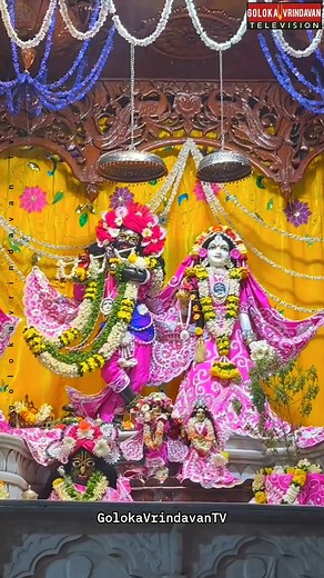 Divine Darshan of Sri Sri Radha Madhav Sundar ✨🌺🙇‍♂️ • • • • • #krishna #radhakrishna #harekrishna #radheradhe #vrindavan #lordkrishna #radha #india #iskcon #hindu #kanha #radharani #krishnalove #mahadev #mahakumbh #hinduism #deity #mayapur #bhakti #krishnaconsciousness #radheshyam #jaishreekrishna #bhagavadgita #ram #hanuman #golokavrindavantv #ISKCONSiliguri #RadhaMadhav #DailyDarshan | Goloka Vrindavan TV