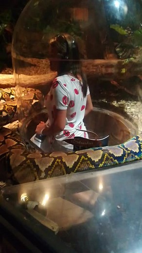 #Python Massive python at #ushakamarineworld 🤯