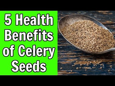5 Health Benefits of Celery Seeds