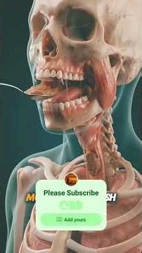 What are the effects on your body of chewing slowly and eating thoroughly?