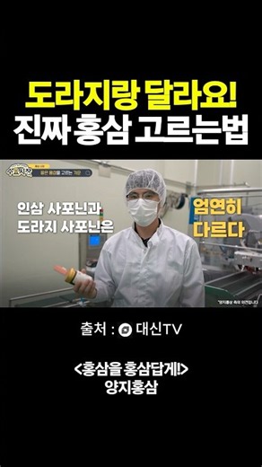 도라지랑 달라요! 진짜 홍삼 고르는법