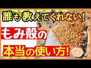 [The secret of rice husk power] The ultimate soil conditioner, rice husks! How to use them to inc...
