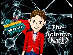 ENZYMES - The Science KID