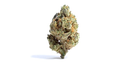 Tropicana Haze Weed Strain Information | Leafly