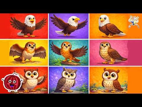 Eagle, Hawk & Owl Sounds 🦅🦉🎶 | Flying Bird Animal Sounds Song for Kids