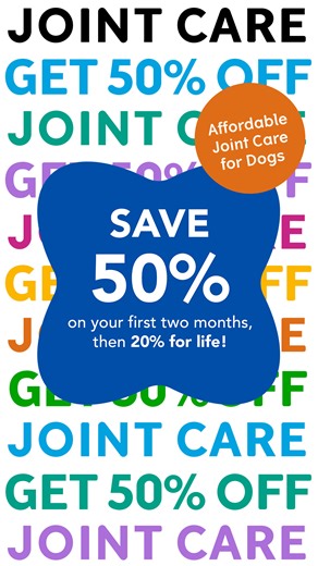 Show their joints some love & get 50% off YuMOVE Joint Care for Dogs today! 🐾 Triple-action formula helps soothe stiffness and support mobility ⚗️ Backed by 15 years of scientific research 👩🏽‍⚕️ From the UK’s no.1 vet-recommended joint supplement brand** 💷 See results in 6 weeks or your money back! Guaranteed* * For full terms and conditions see YuMOVE.co.uk/YuMOVE-guarantee ** Lintbells Veterinary Tracker by CM Research November 2023 | YuMOVE UK