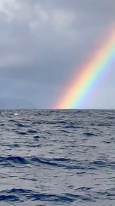 The ocean, a vast and mesmerizing expanse, is a world teeming with life and wonder. Its azure depths are home to a dazzling array of creatures, from the graceful dance of dolphins to the vibrant hues of coral reefs. Each wave carries the rhythm of countless lives, reminding us of the beauty and mystery that lies beneath the surface. The ocean's inhabitants, from the tiniest plankton to the majestic whales, each play a vital role in this intricate ecosystem. Let's cherish and protect this incredi