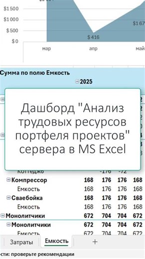 How to analyze project portfolio workforce capacity in MS Excel? #msproject #msexcel