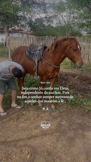 Domando potro #doma #horse #cavalo #pecuarista #vaquejada #nordeste #vaquejada #fazenda #vaqueiro