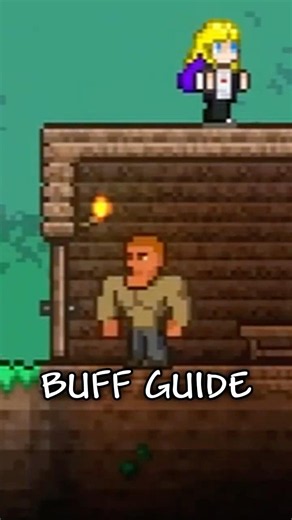 Did You Know THIS About Terraria?