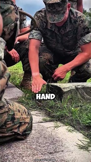 Soldier vs Fire Ants – Unbelievable Courage