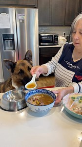 What my German Shepherd eats in our Chinese household #dog #dogs #germanshepherd #dogmom #dogmomlife #whatmydogeats #chinesefood | Meet The Chows