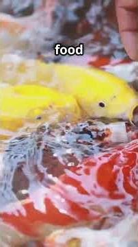 Fast Tank Cycling Secrets Revealed!