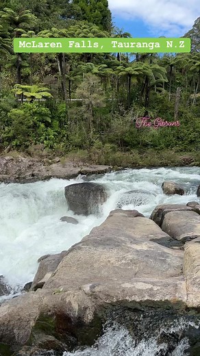 1.1K views · 35 reactions | McLaren Falls, Tauranga New Zealand! This falls has few waterholes so remember to bring towels when you visit! #greatnewzealandoutdoor #motorhomeadventures #northisland #tauranga #newzealand #fbreels | The Gibsons of New Zealand | Facebook