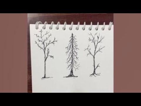 Filing my sketch book with winter trees 🖊️Satisfying