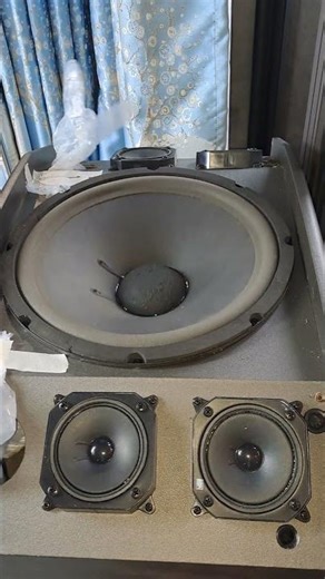 $XXX Chinese 12 Subwoofer Bass Test - Does It Sound EXPENSIVE#automobile #bass