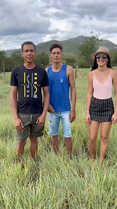 68K views · 2.1K reactions | VOU PRO PISEIRONinhoalmeidaGeniltonoficiall | Nauraalmeida | Facebook