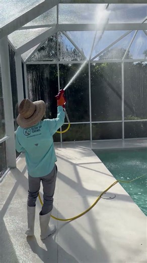Lanai Screen Cleaning of Naples Pool Deck Removes Old Plaque and Green Mold