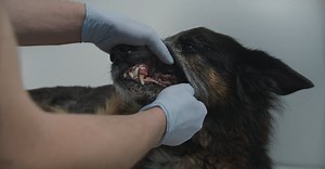 Video by Tima Miroshnichenko on Pexels