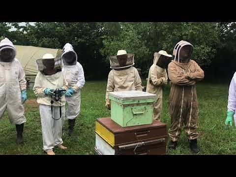 Création d'un Nucléus de type mini-plus