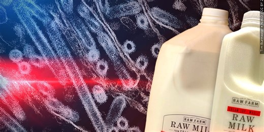 Minnesota statewide raw milk testing detects H5N1 in dairy herd