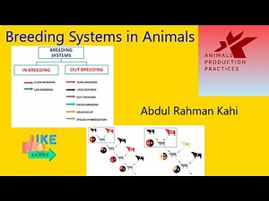 Breeding Systems in animals | Inbreeding | Outbreeding | animal husbandry