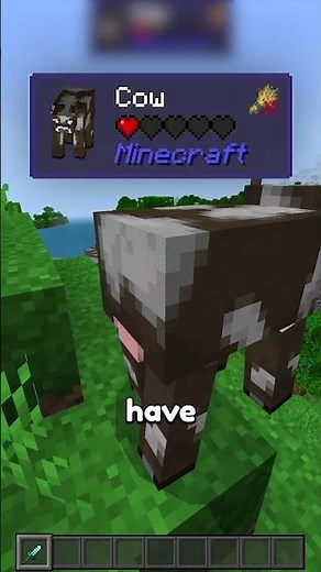 Top 5 Minecraft Bedrock Texture Packs! 🤩