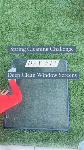 Care Cleaning on Instagram: "How to deep clean your window screens!! This is the absolute EASIEST & BEST way to get those screens looking brand new. Spring Cleaning Challenge Day 13 Deep Cleaning Window Screens How to Deep Clean Window Screens: Spray WD-40 Directly onto a microfiber cloth and wipe the screen down. It’s seriously that simple!!! It works with the screen still in the window too. 🧼 Spring Cleaning Giveaway: At the end of the 30 days I will be picking 1 person to send my favorite co