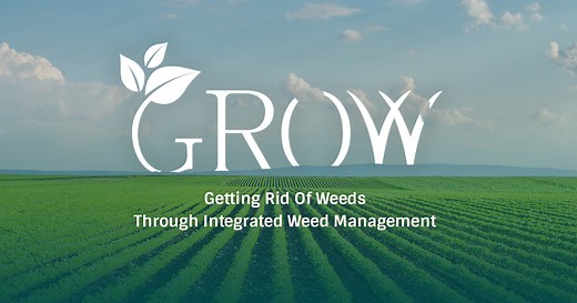 Harvest Weed Seed Control - Getting Rid Of Weeds