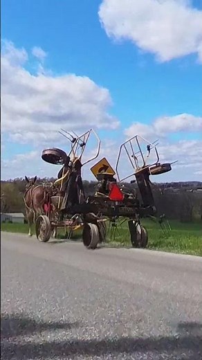 Amish Farmer with mules and farm machinery