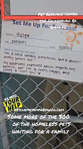 Here are some more pics and vids of the 300 homeless pets at the Pet Resource Center 440 Falkenburg Rd Tampa FL Intake today was in double digits, outcomes were under 5 dogs!!!! We need HELP!!! If interested in ADOPTING or FOSTERING email us petinfo@hcfl.org cc rescuemetampa@yahoo.com #deserving #savemylife #shelterdog #paws #christmas #abandoned #homeless #florida #tampa #adoptdontshop #loved #helpus #rescuedog | Rescue Me Tampa - Shelter Dogs