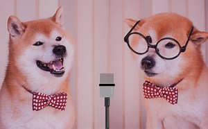 【動画】ぺこぱM1・2019決勝お年寄り&タクシーネタで大爆笑｜エンタメ・芸能・ニュース・などの気になる話題をお届け