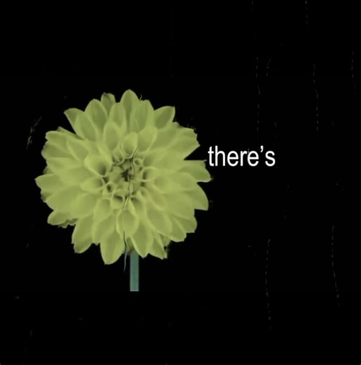 poison tree..#poisontree #sadvibe #music #fyp #song