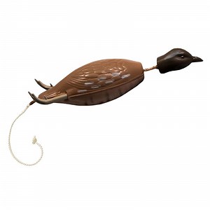 Dokken Bobwhite Quail