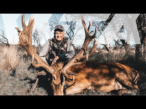 Free-Range Argentina Red Stag