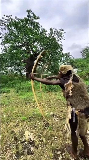 Fierce Lioness Hunt in the African Bush | अफ़्रीकी जंगलों में शेरनी का खतरनाक और जोरदार हमला