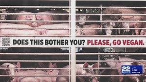 PETA’s ‘Hell on Wheels’ pig truck stops in Springfield