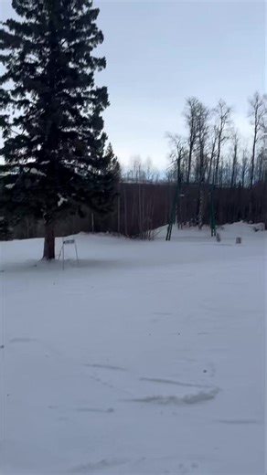 🎥 First tracks of the day, courtesy of Wayne, Master of the Corduroy, aka Mr. Plow. When the guy who makes the snow look perfect decides to test-drive his own work… you know it’s going to be a good day 😄 Wayne took the very first run down one of our brand-new runs this morning, and yes, it’s riding just as good as it looks. The hill is OPEN today and ready for you: ⛷️ Lessons available 🎿 Rentals ready to go ☕ Café is open 🚠 Lifts spinning from 10:00–4:00 Come carve up some fresh corduroy and