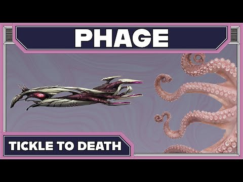 WARFRAME | PHAGE BUILD GUIDE! 2024 BUILD