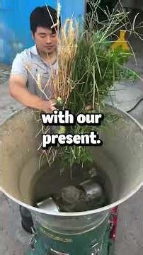 At our final HR hearing, my manager's lawyer laughed, "Enjoy your new life — you'll never work...