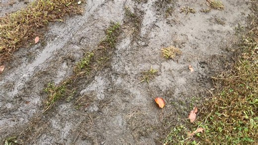 Crystal Brown on Reels