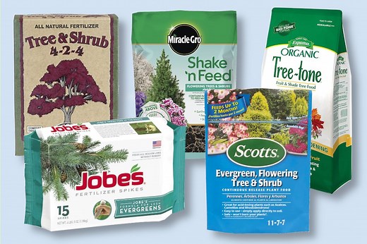 Best Fertilizer for Trees and Shrubs and How To Use Them