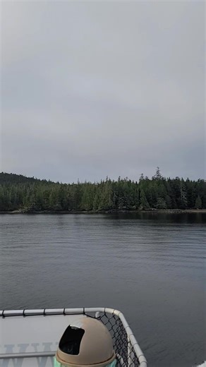 Robbi Cannon on Reels