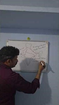 I am drawing an outline map of India and marking its physiographic divisions.