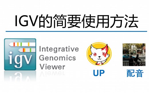 基因组可视化软件IGV的使用方法