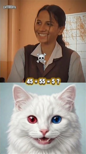 Same to same hairstyles 😜 #funny #memes #cat #relatable